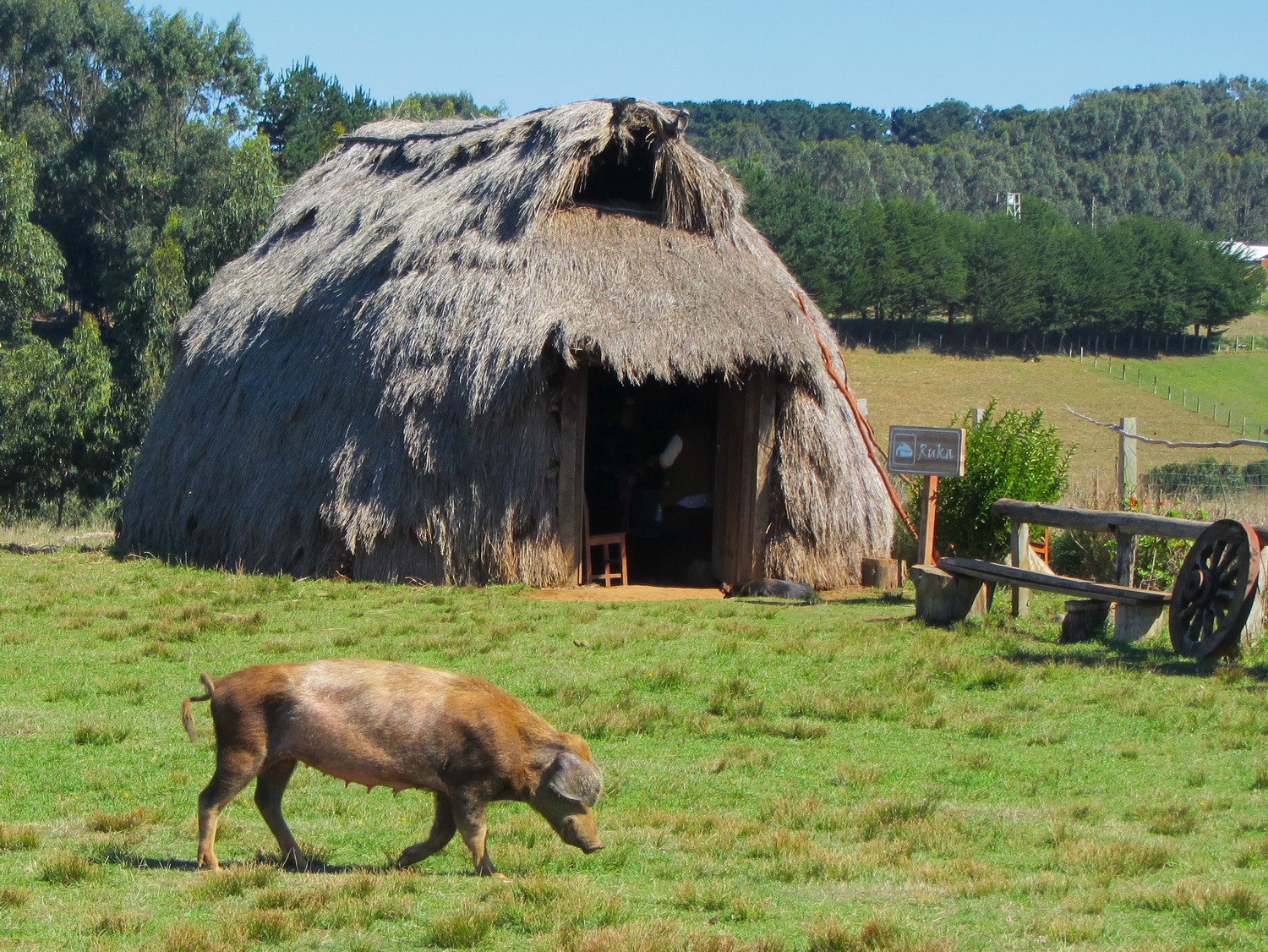 Origin cottage of the Mapuche tribe